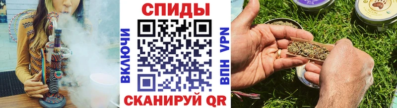 купить Алексин Бутират буратино