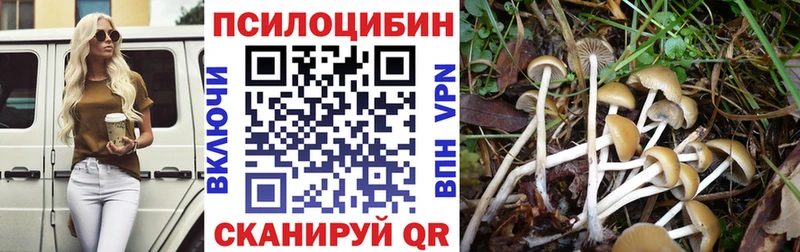 Псилоцибиновые грибы Psilocybine cubensis  Алексин 